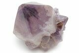Cactus Quartz (Amethyst) Crystal - South Africa #220014-1